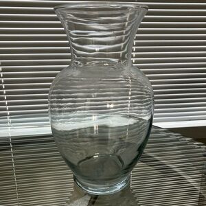 Elegant Clear Glass Vase